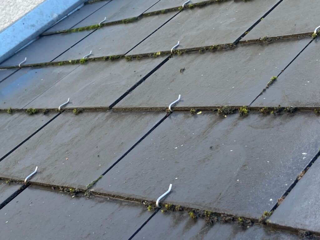 Méthodes de démoussage de toiture