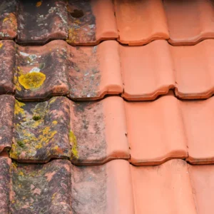 Nettoyage Façade javel