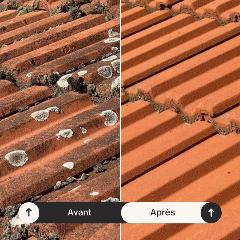 demoussage-toiture-avant-apres-sain-et-toit
