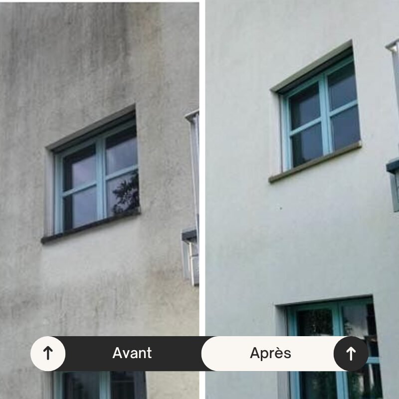 facade-algues-avant-apres-sain-et-toit