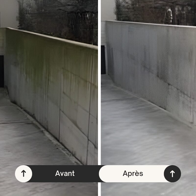 mur-envahi-algues-avant-apres-sain-et-toit