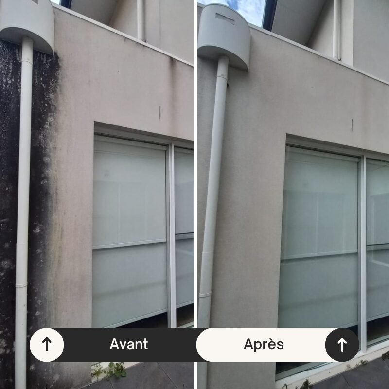 mur-noirci-avant-apres-traitement-anti-mousse-sain-et-toit