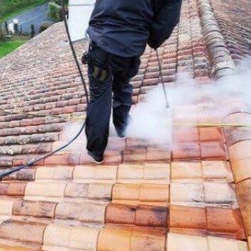 nettoyage toiture vapeur