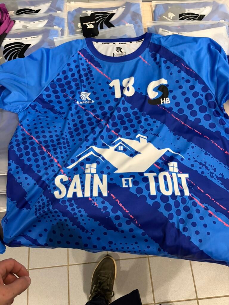 Démoussage toiture à Spay