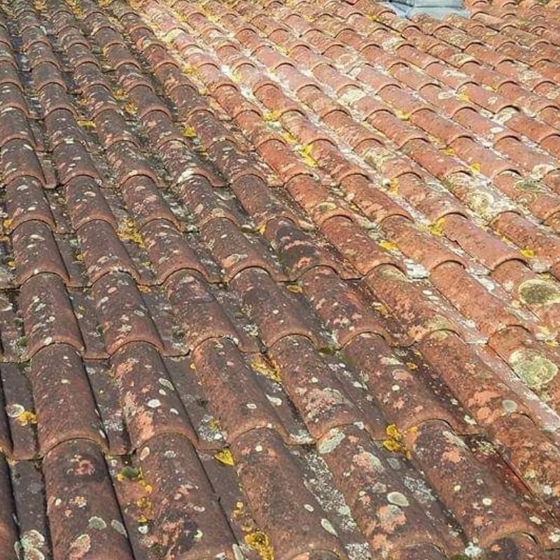 plateforme de mise en relation