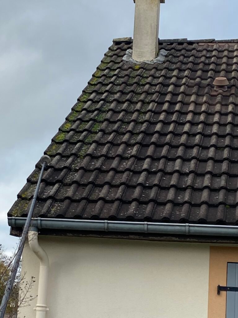 Lichens vs Mousses sur Toiture