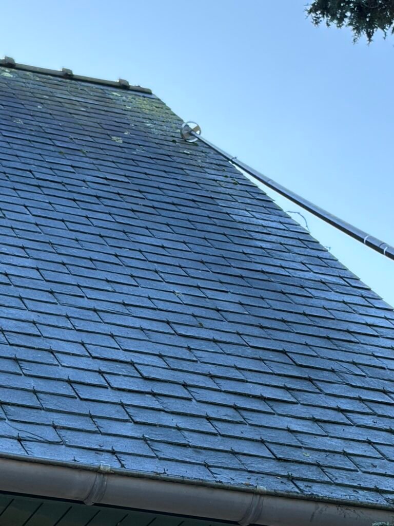 Pourquoi la Mousse sur Votre Toiture