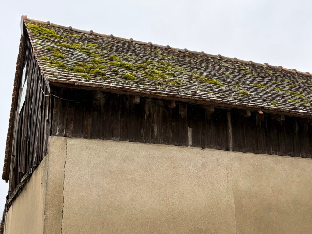 infiltration eau toiture