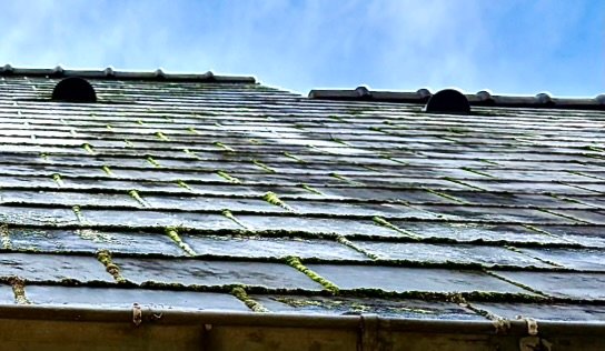 problème mousse toit