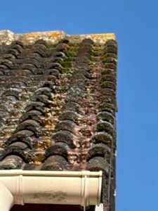 nettoyage toiture noire